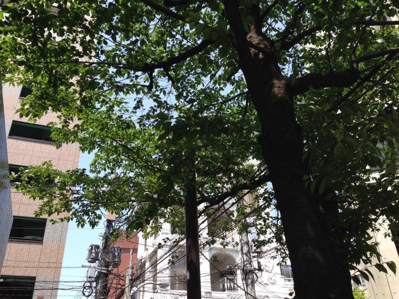 Fukuoka Guesthouse Little Asia Kokura Kitakyuşu Dış mekan fotoğraf